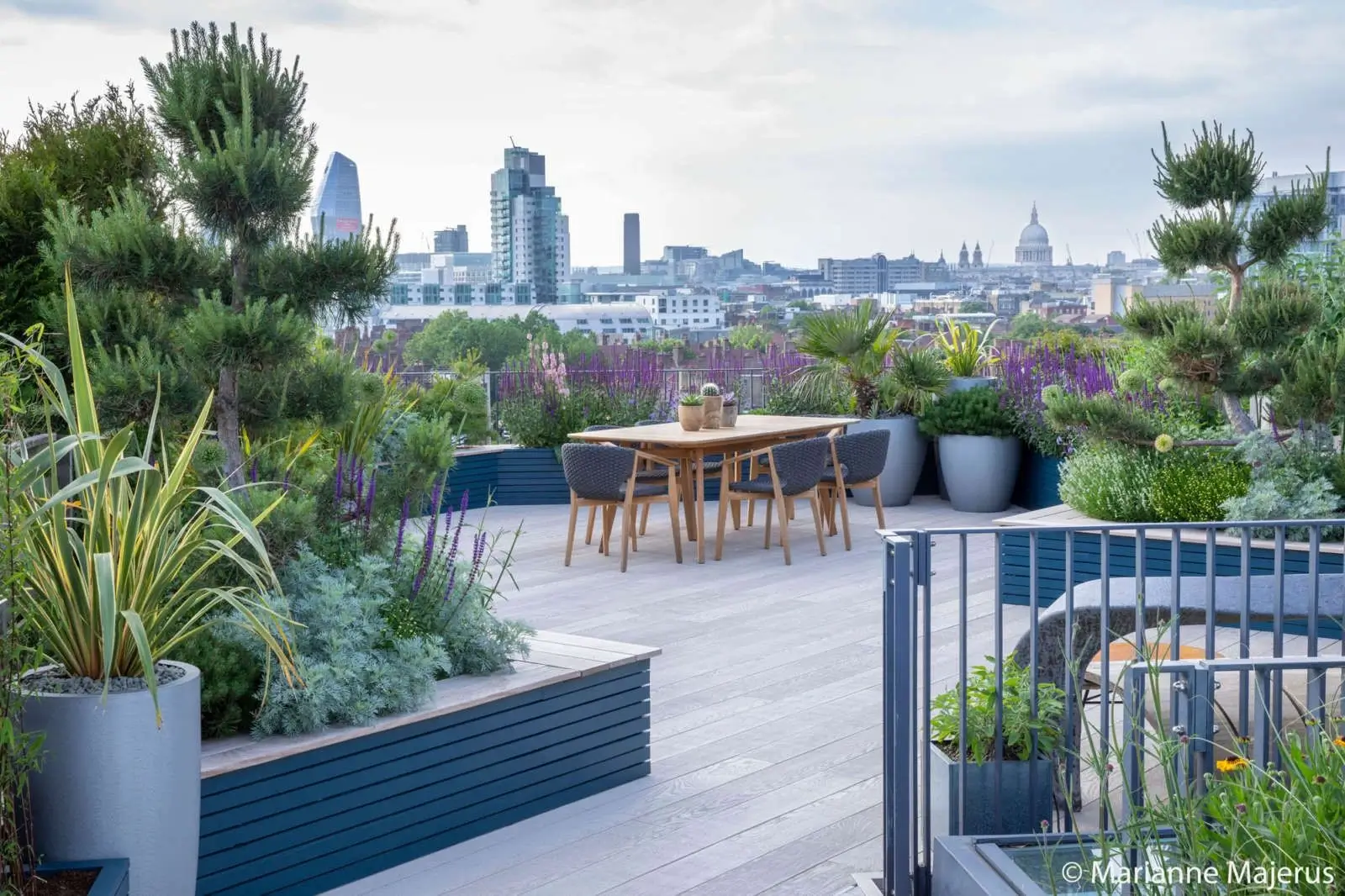 A beautiful rooftop garden with city views.